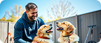 AI veterinary blood test analysis